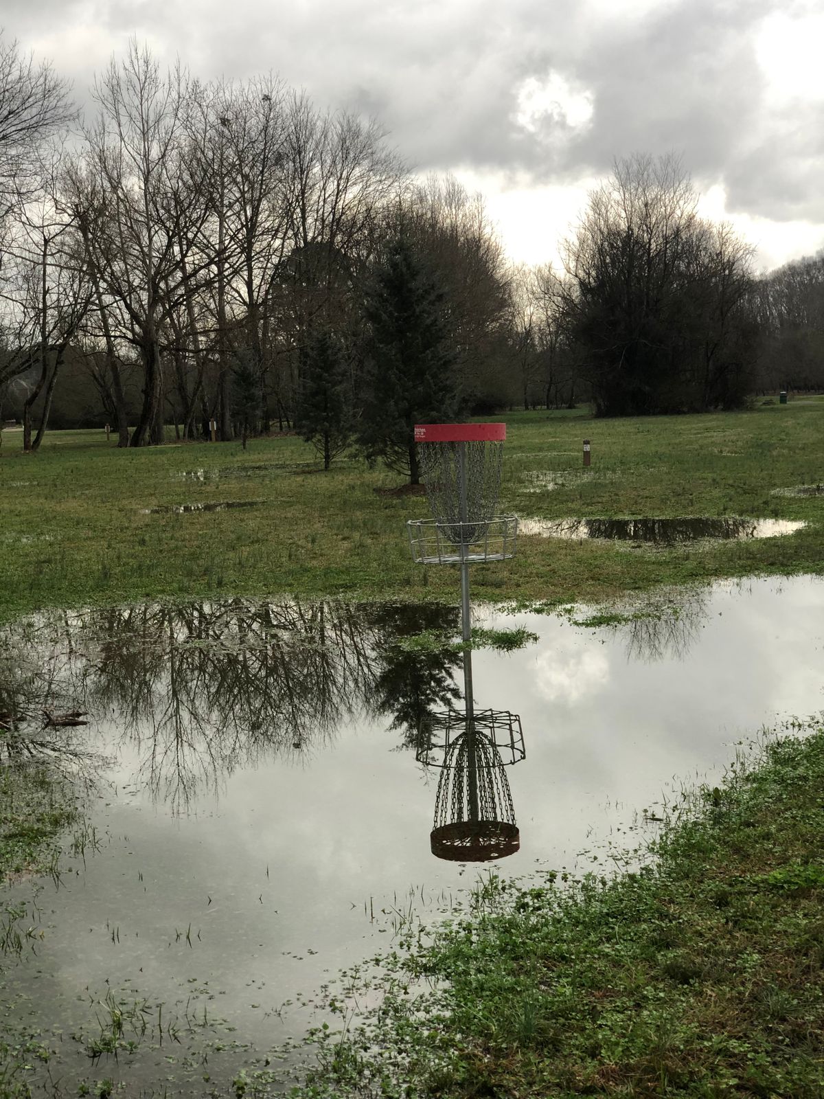 Soggy, underwater and muddy.  Basket 8