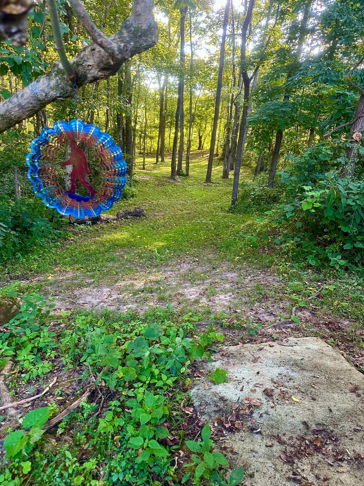 Hole 4