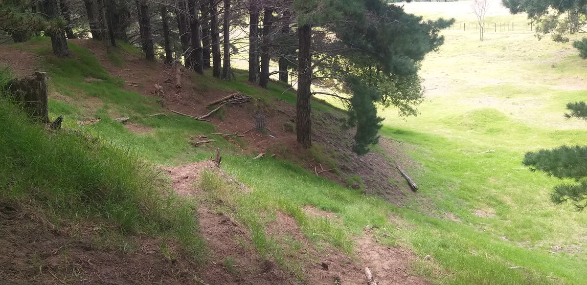 Putt course - elevation changes, obstacles and roll aways!