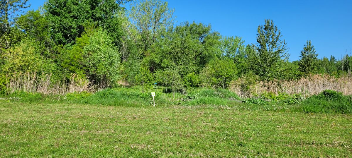Accès au green 4