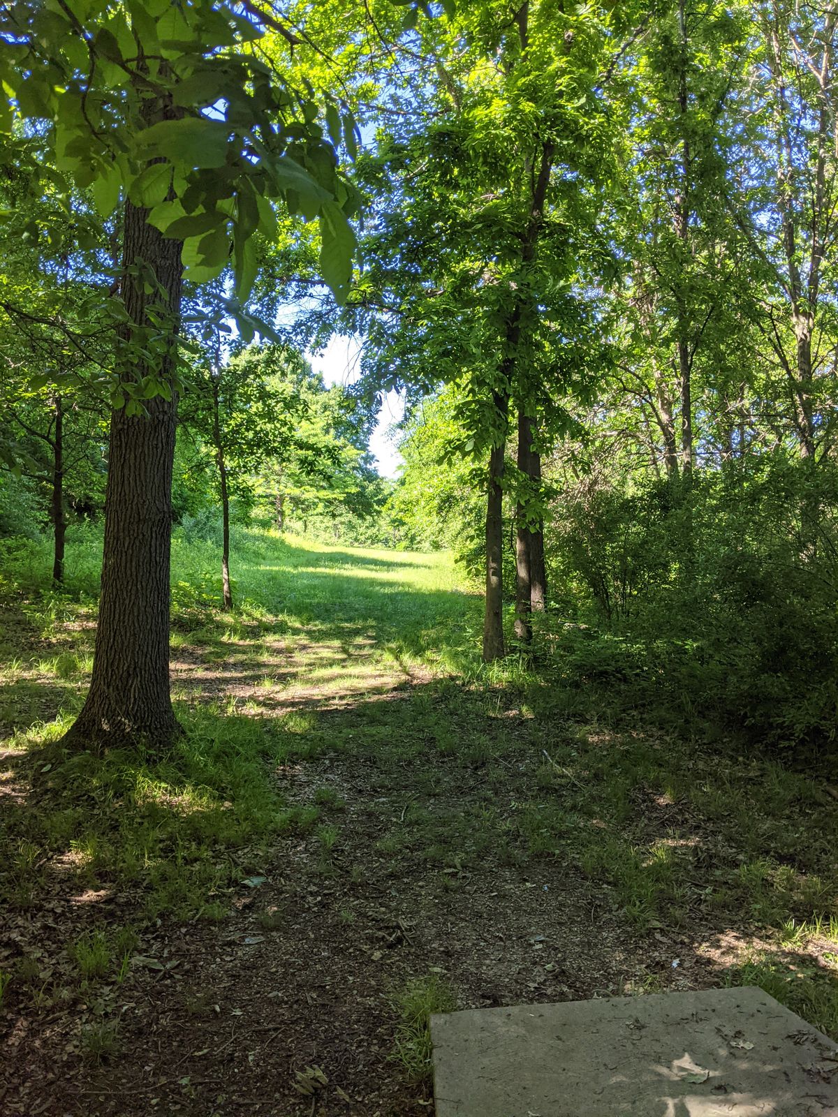 Tee 4