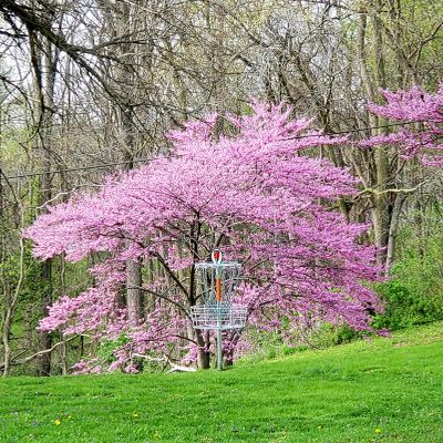 Hole 9 basket