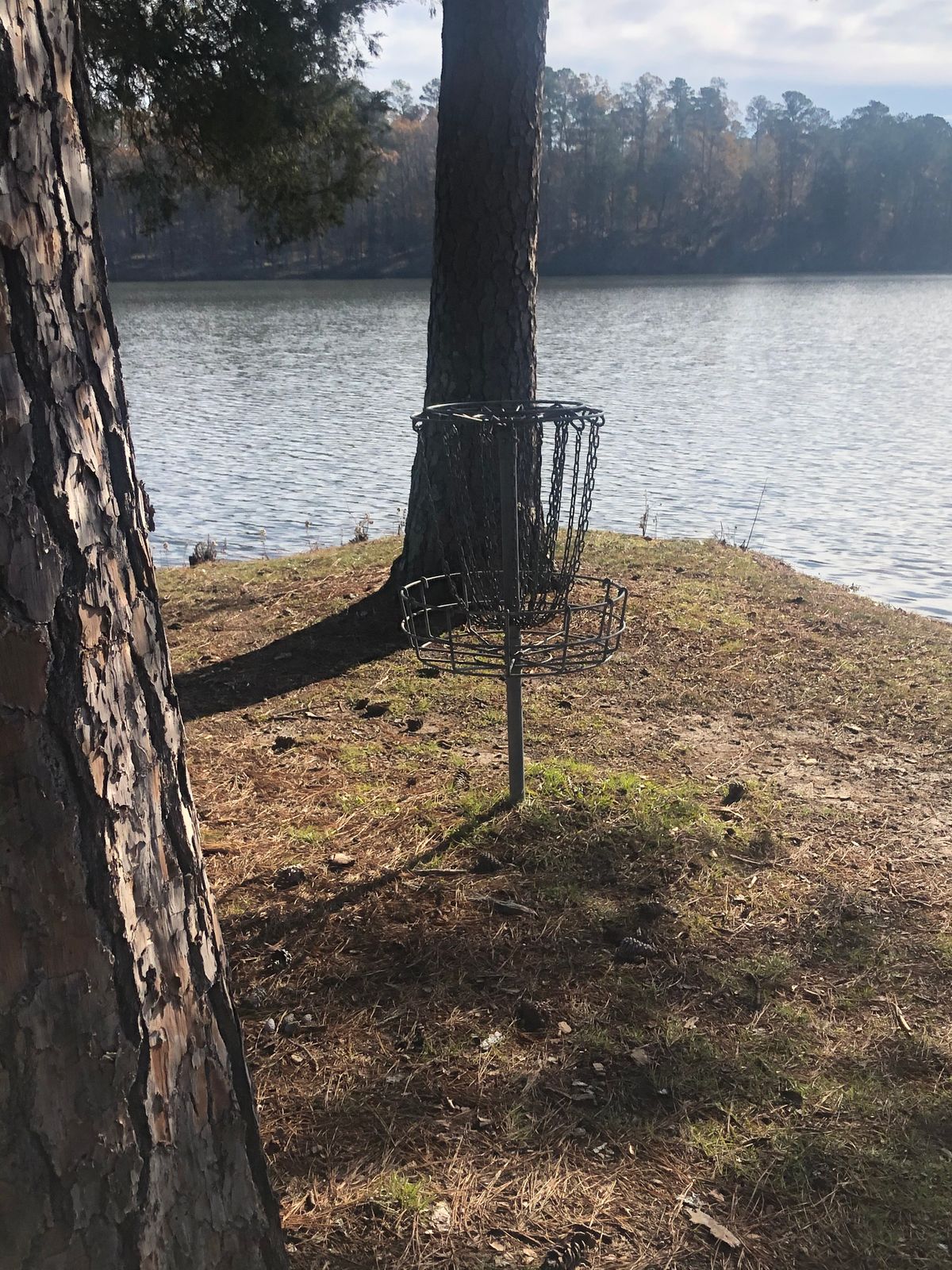 Hole 10A basket