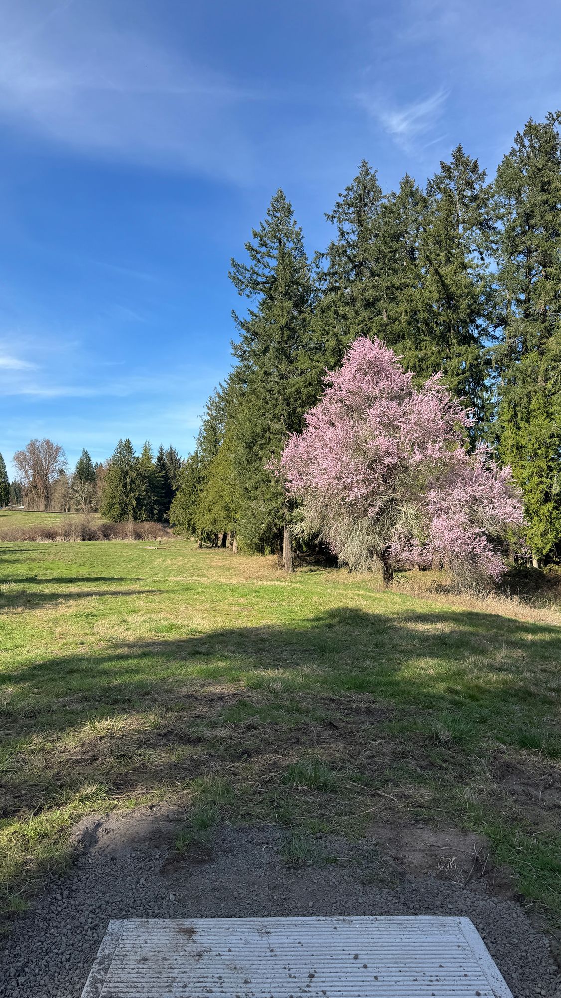Hole 2