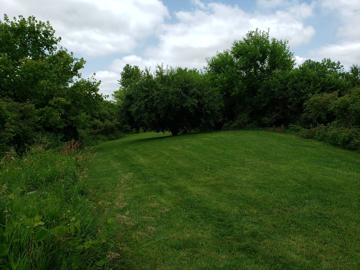 Still need to get around that big tree to get to #16 Basket!