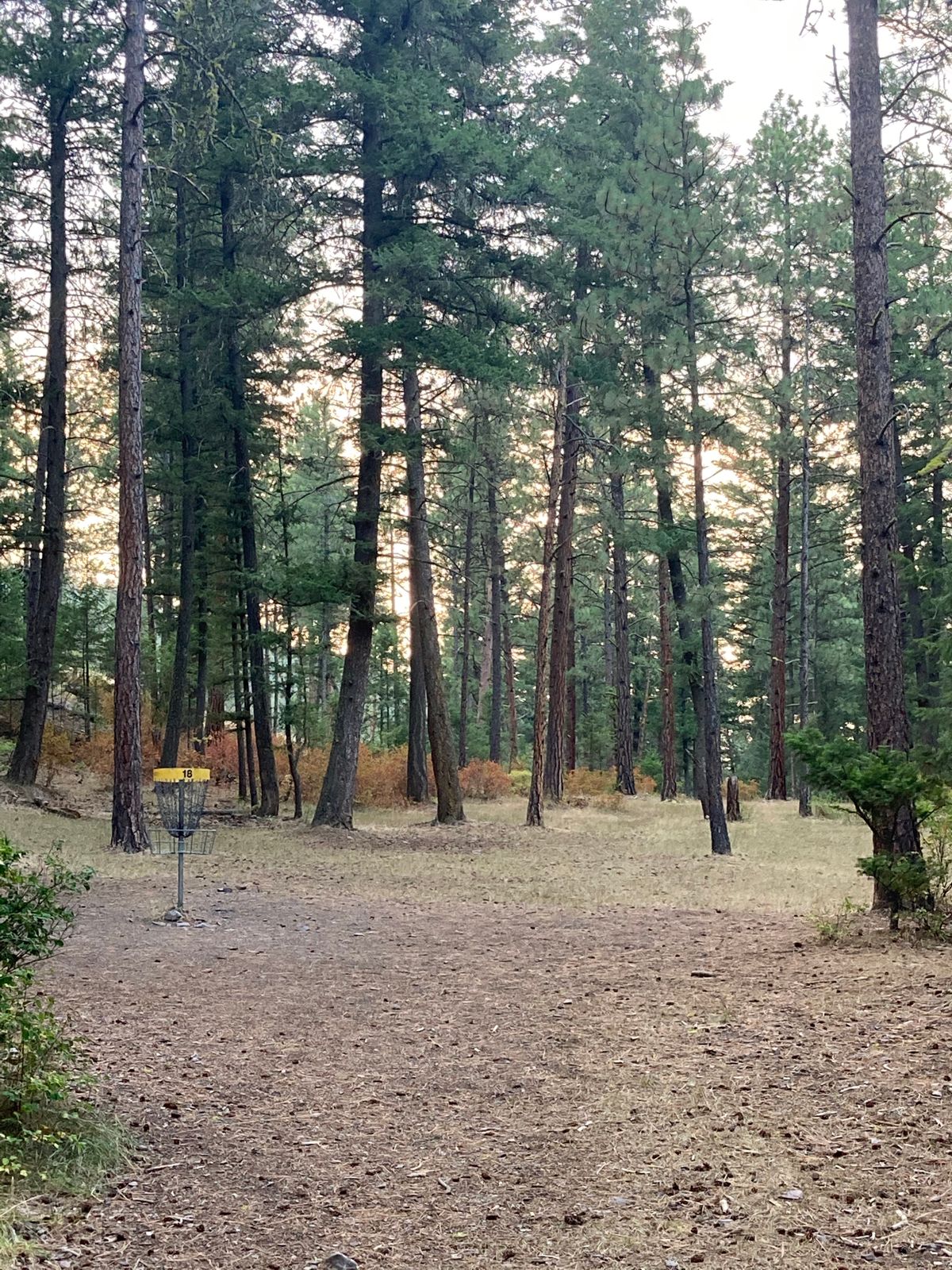 18 looking back at the tee pads