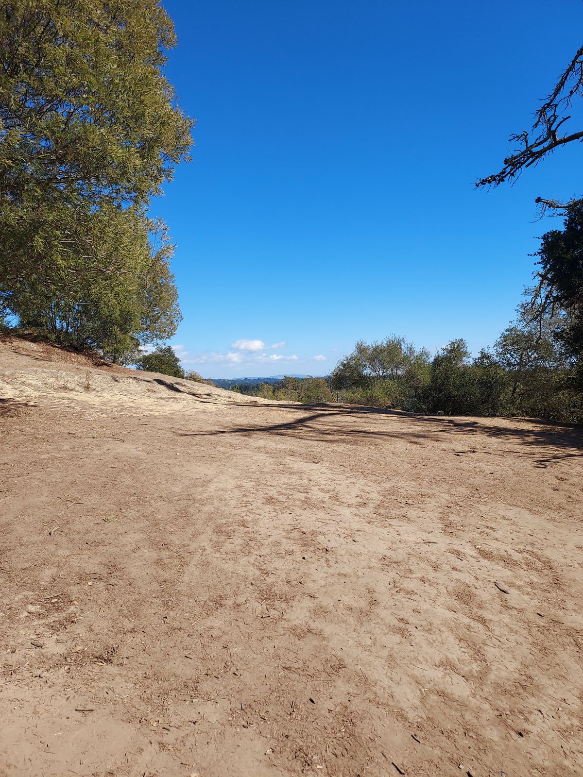The view going from hole 2 to 3