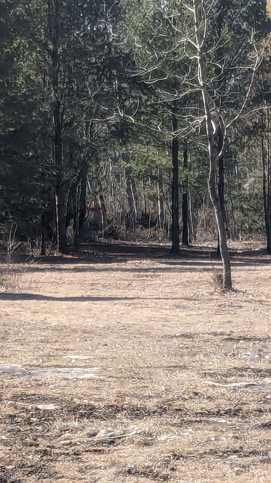 Hole 2-Straight fairway with hard left finish