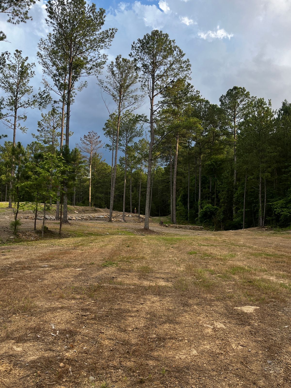 Hole 13