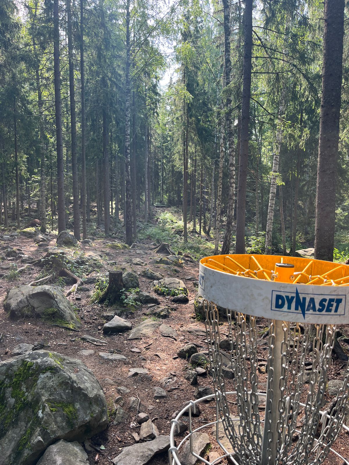 Hole 15, basket to tee