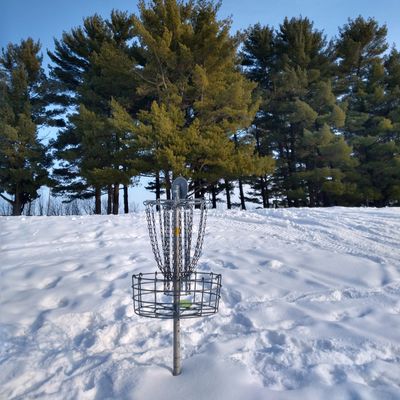 Hole 8 basket