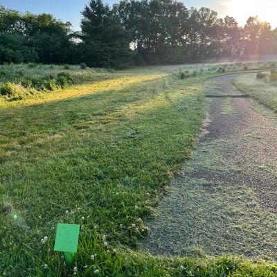Hole 6 tee, looking down the fairway