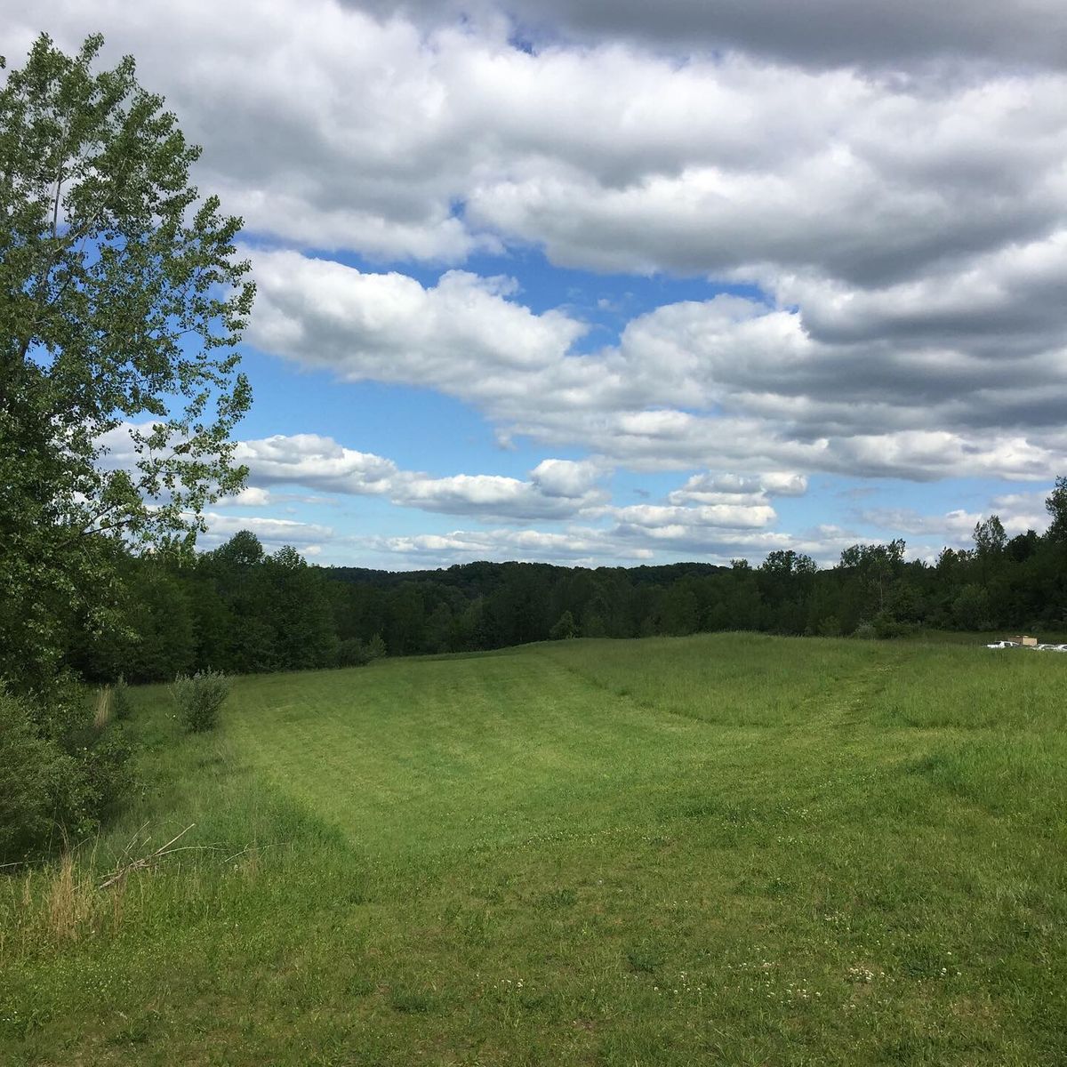 Hole 1 tee
