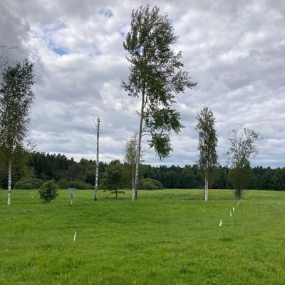 Course photo