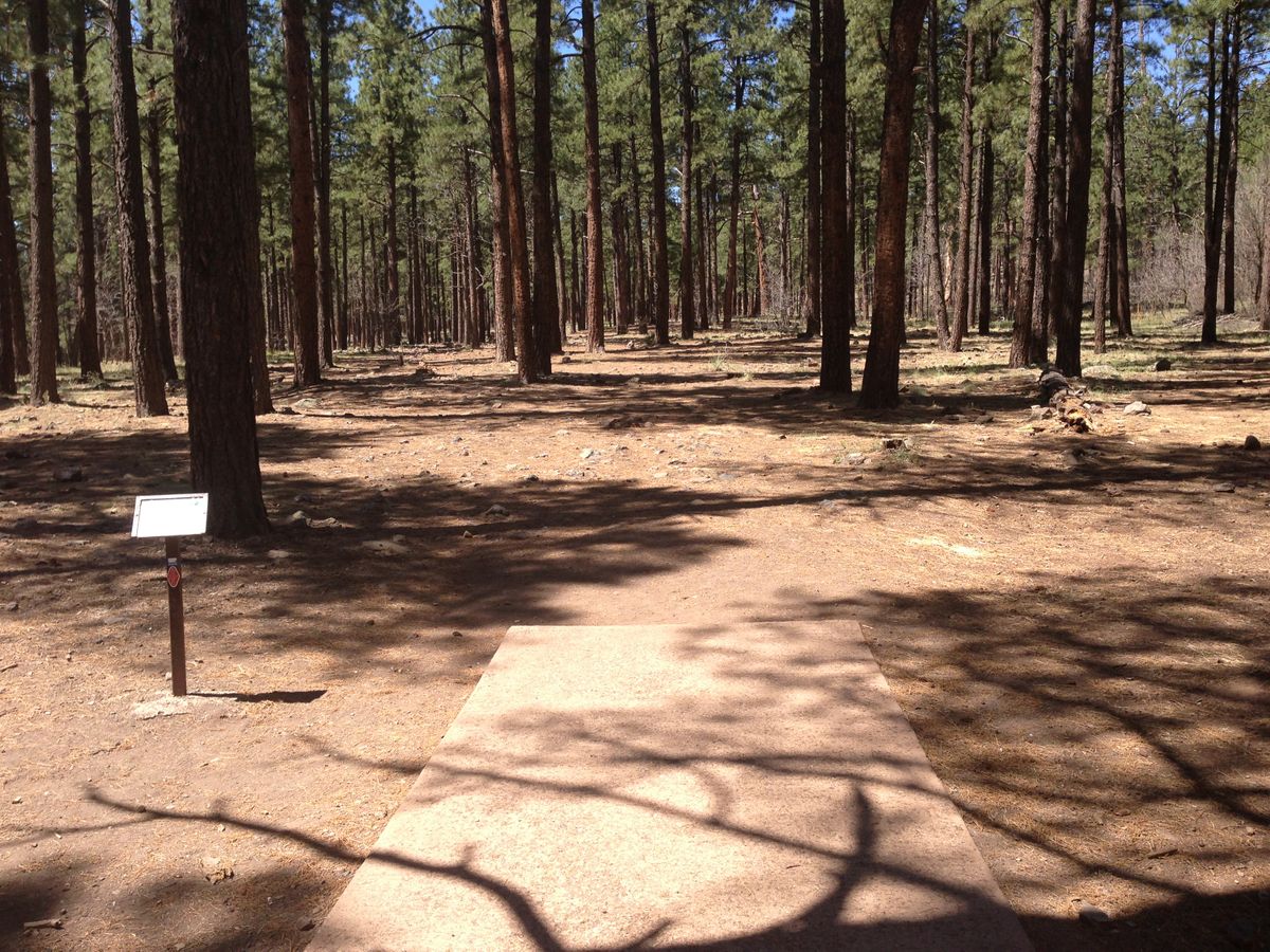 Hole 9
