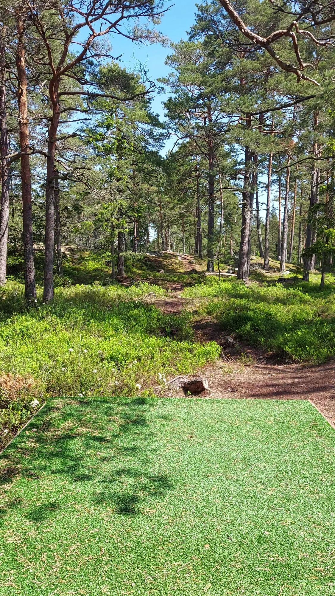 Väylä 3