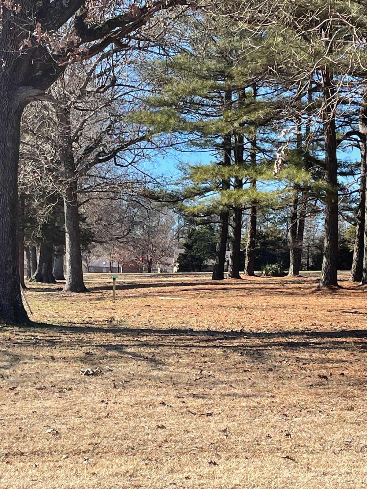 Hole 3