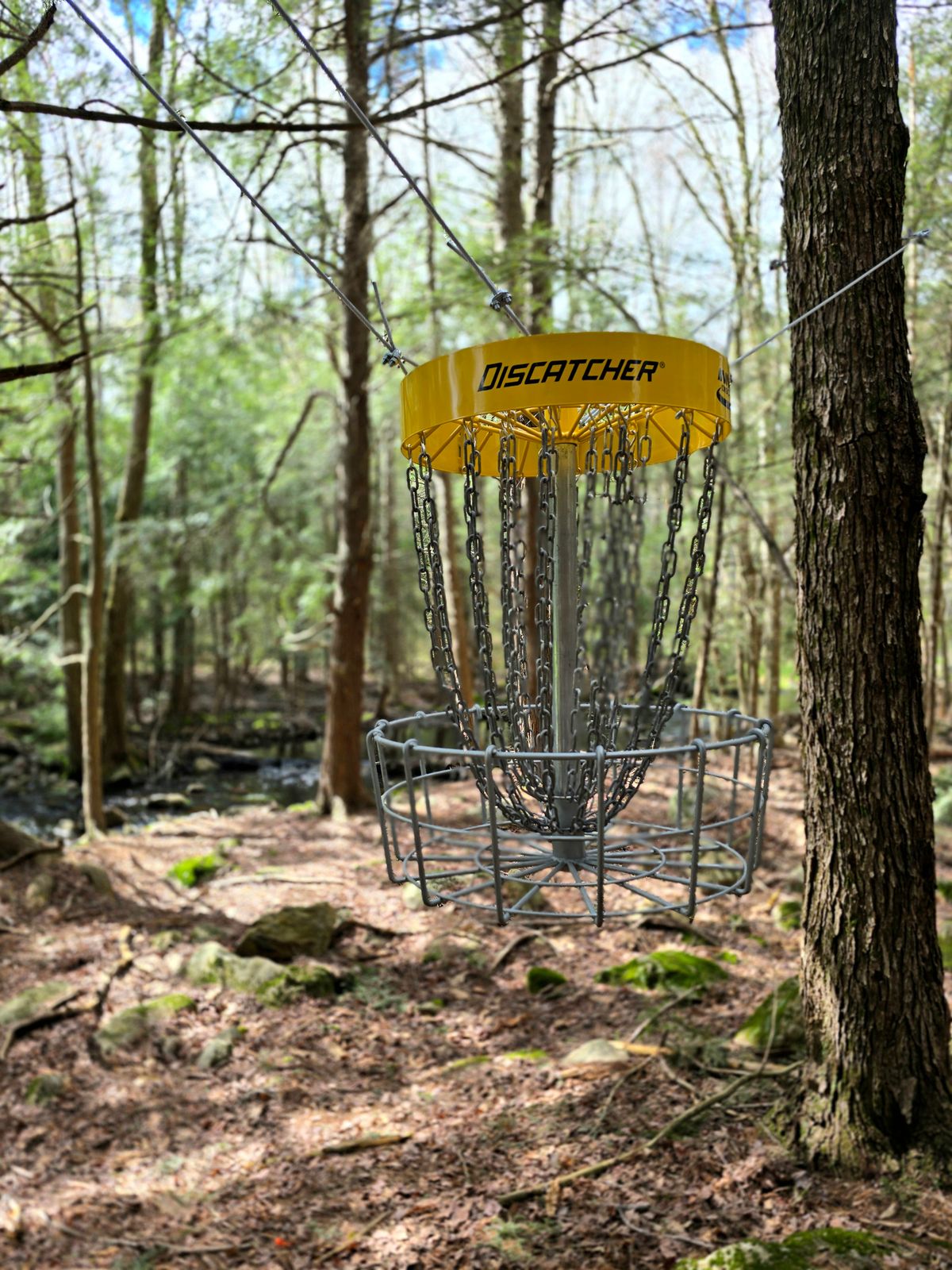 Hole 8