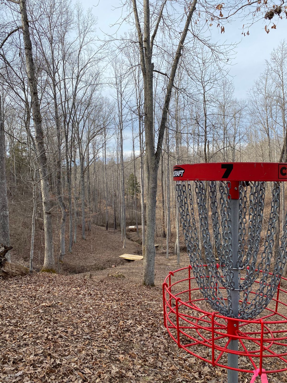 Hole 7 looking back towards tee