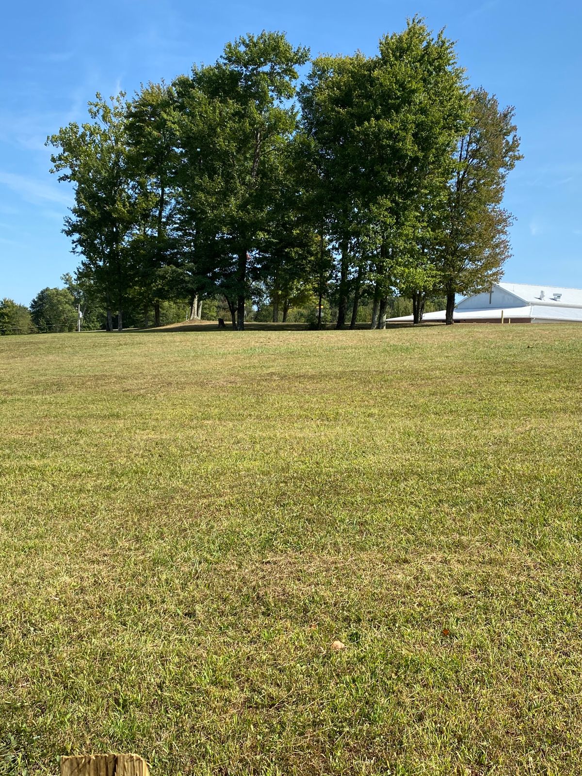 View from Tee Number 15.