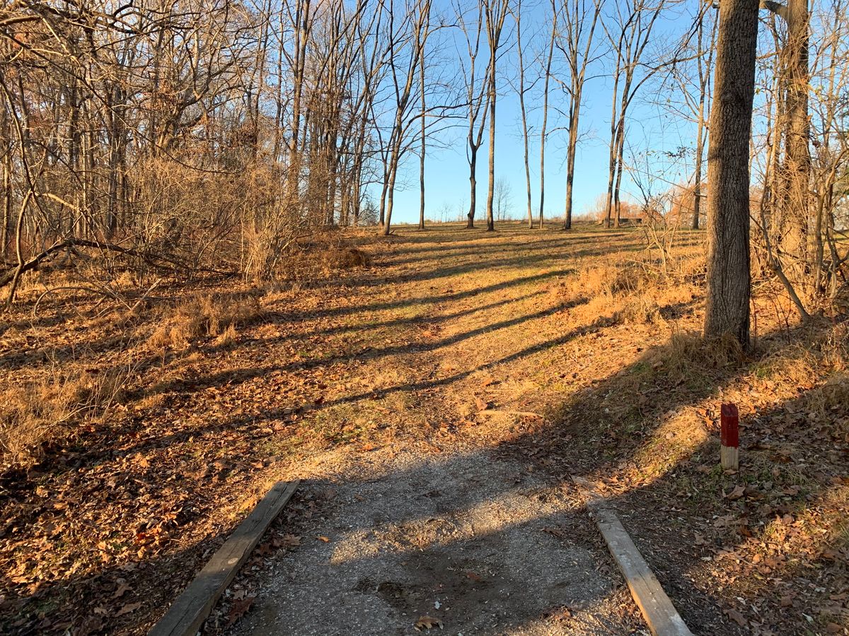 Hole 16 (short tee)