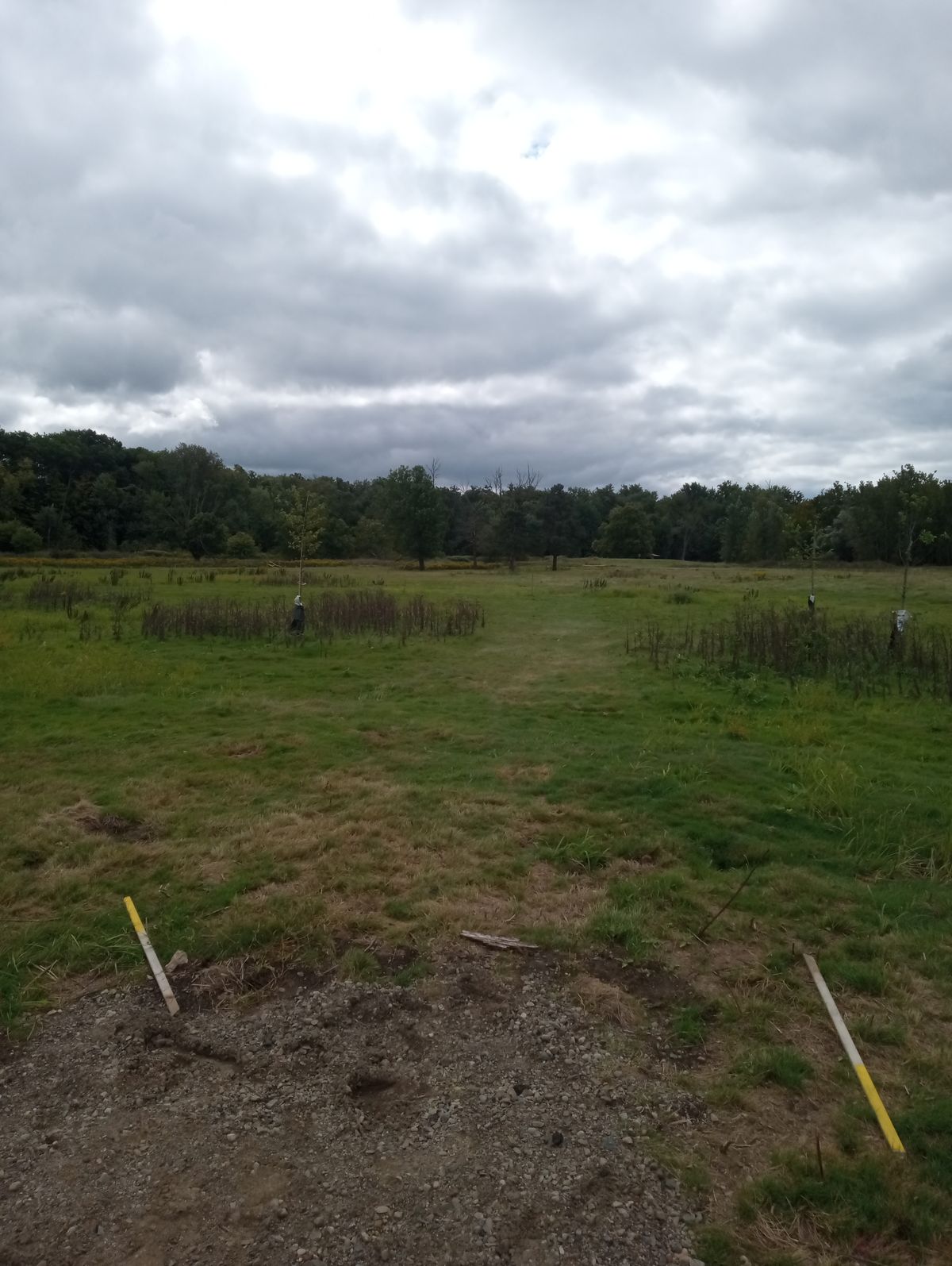 Hole 5