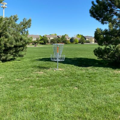 Hole #2 basket looking back toward tee.