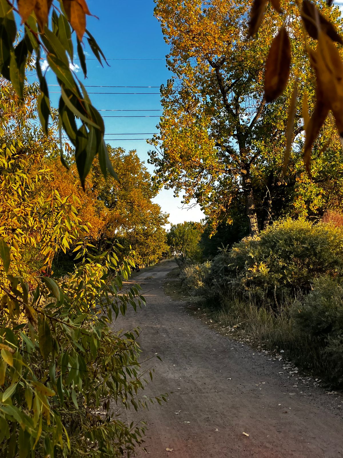 Path through 17