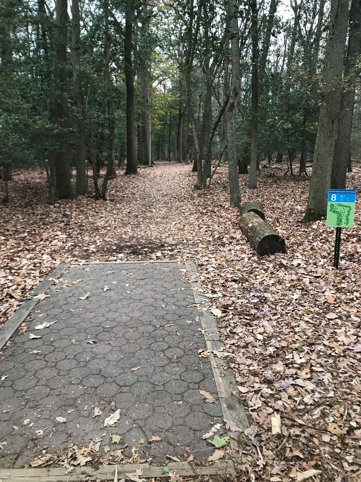 Hole 8 long tee