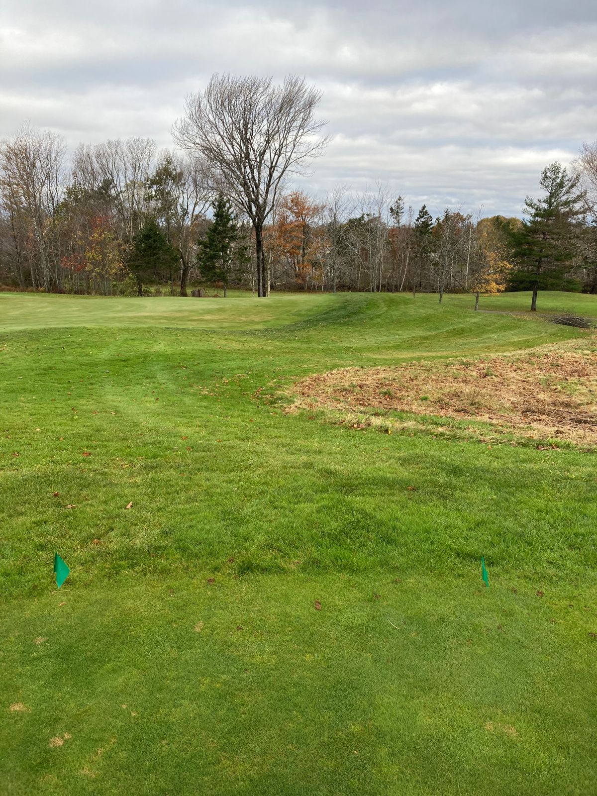 Hole 12 Green tee.  Basket beyond golf green.
