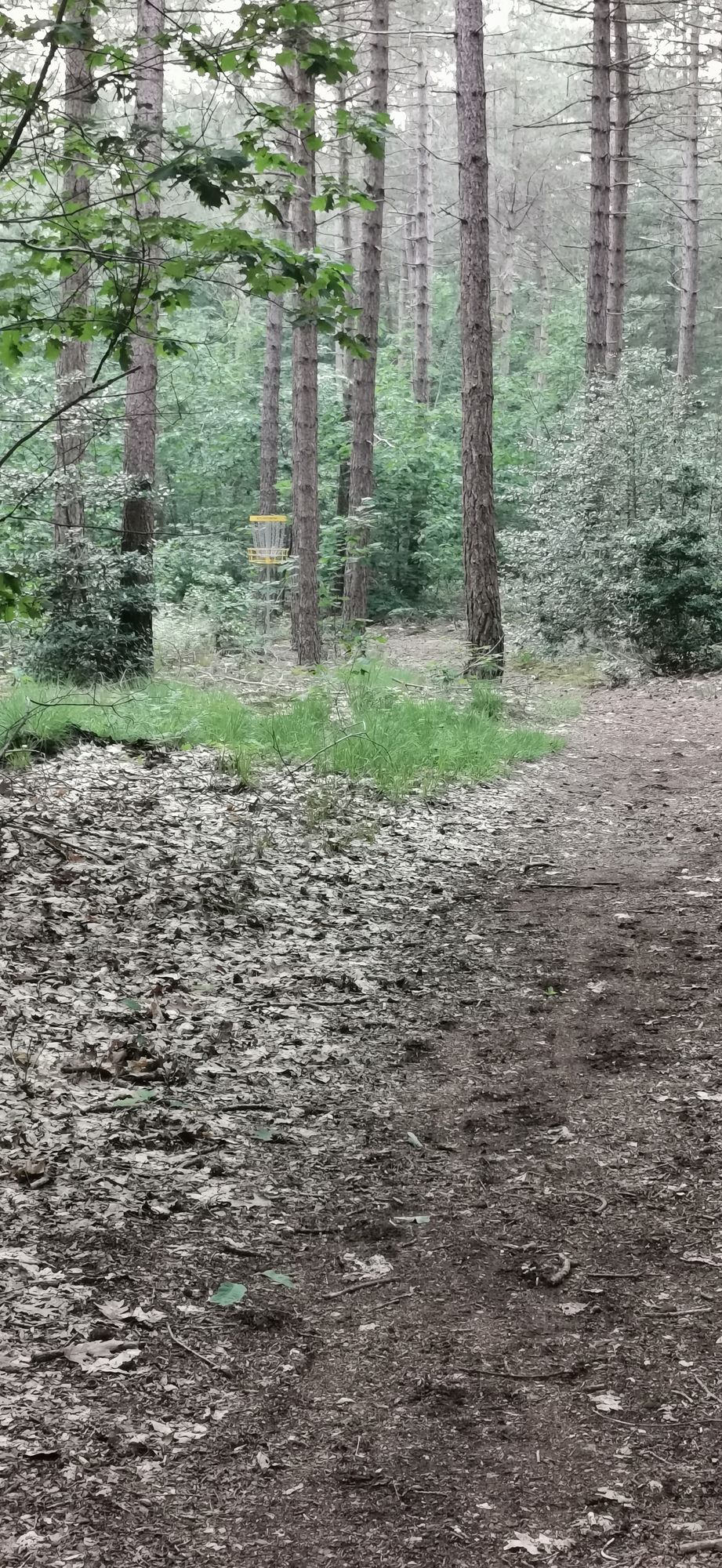Hole 17