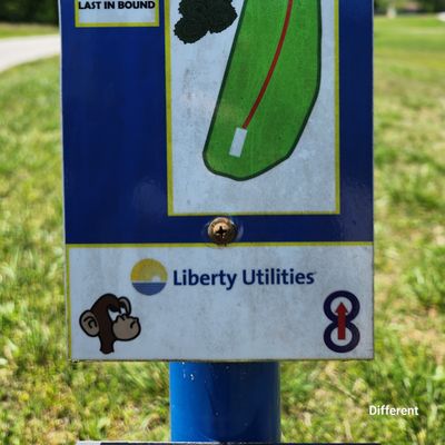 Hole 3. Updated to par 4 in Udisc.