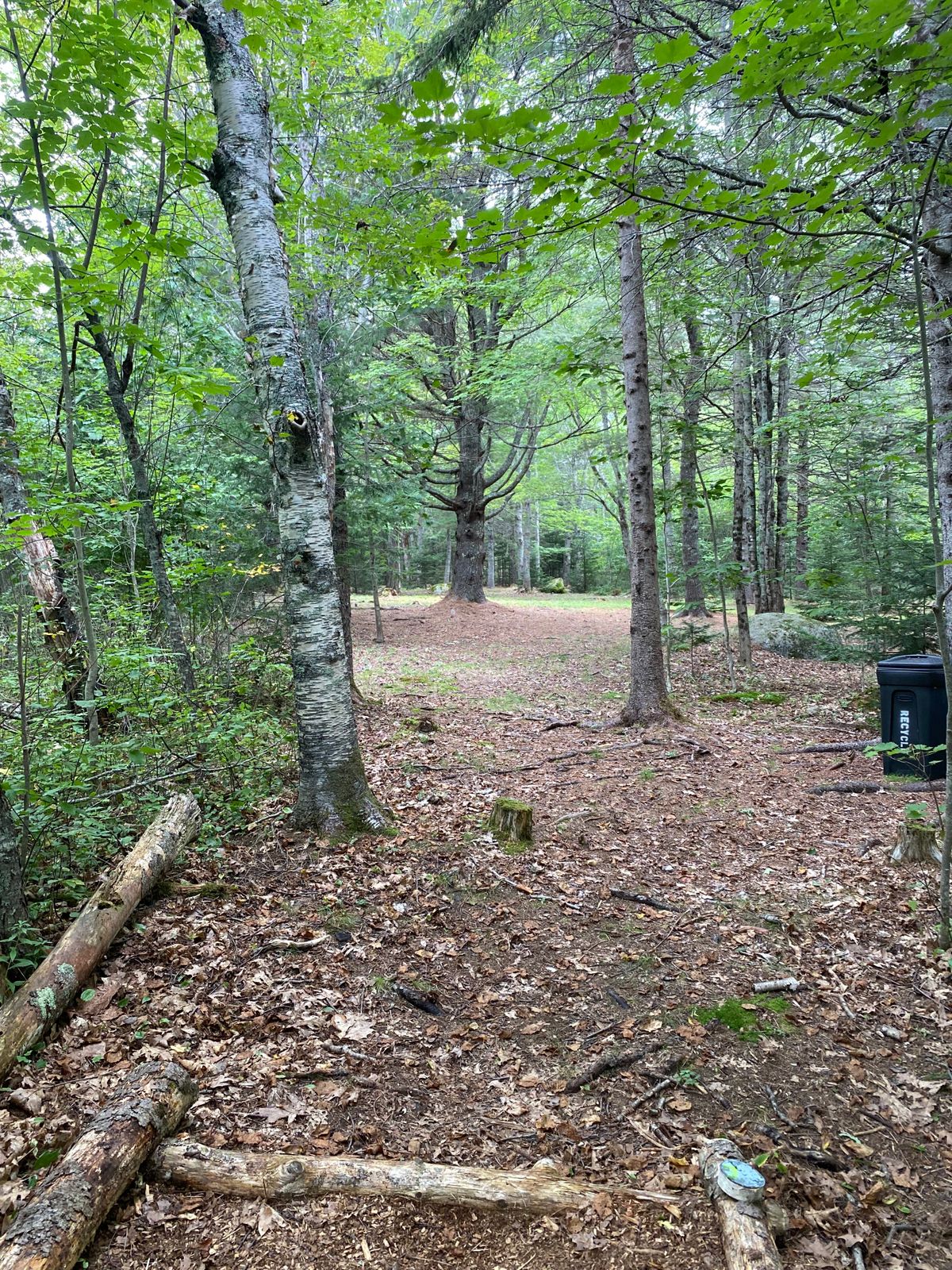 Hole 4