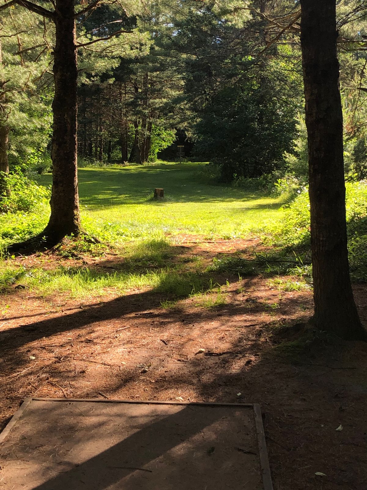 Hole 7