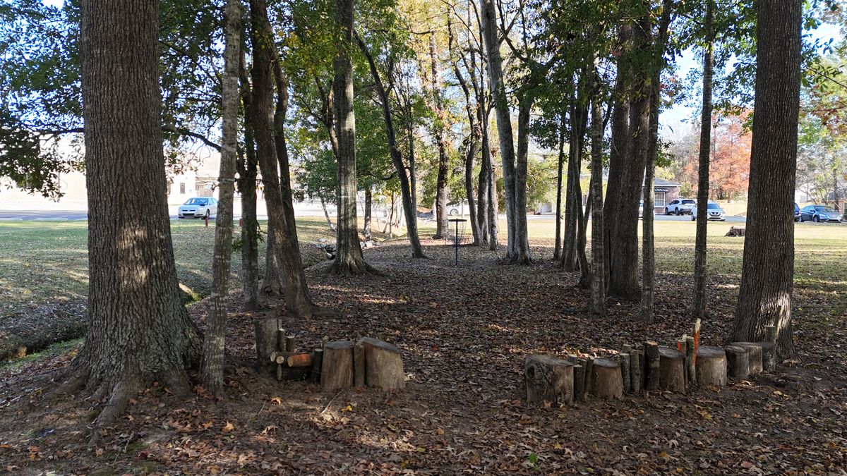Hole 12, Double Mando between trees and DZ in log wall path
