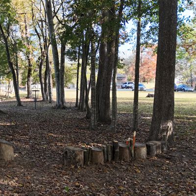 Hole 12, Double Mando between trees and DZ in log wall path