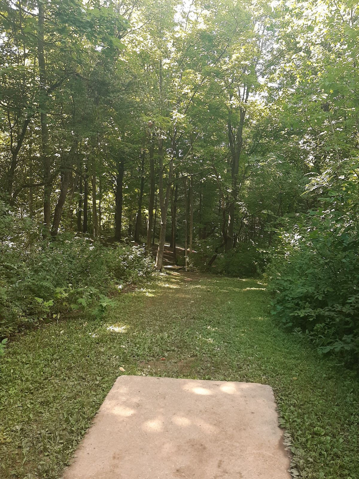 hole 15.