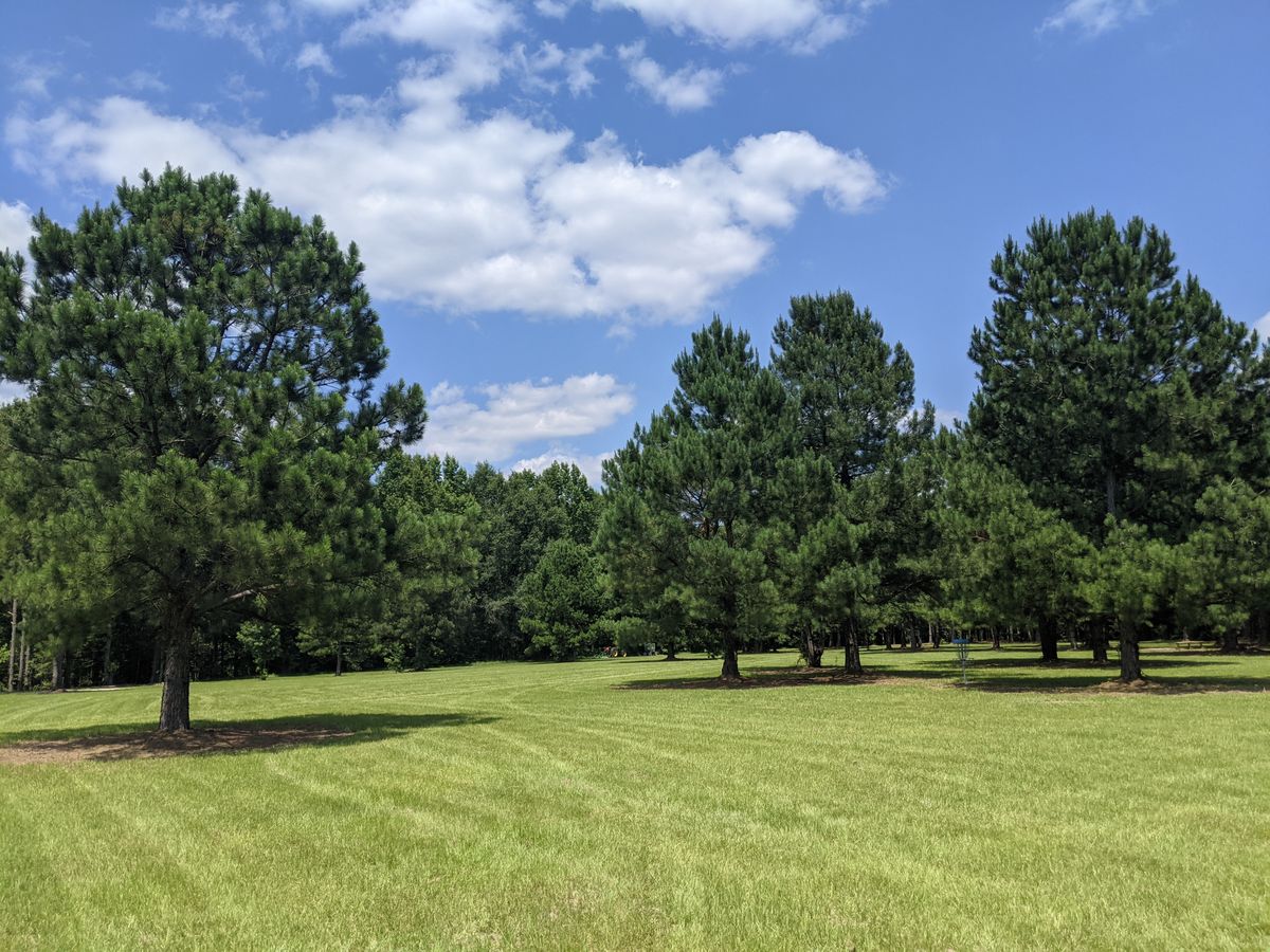 Hole 5 fairway looking towards the basket