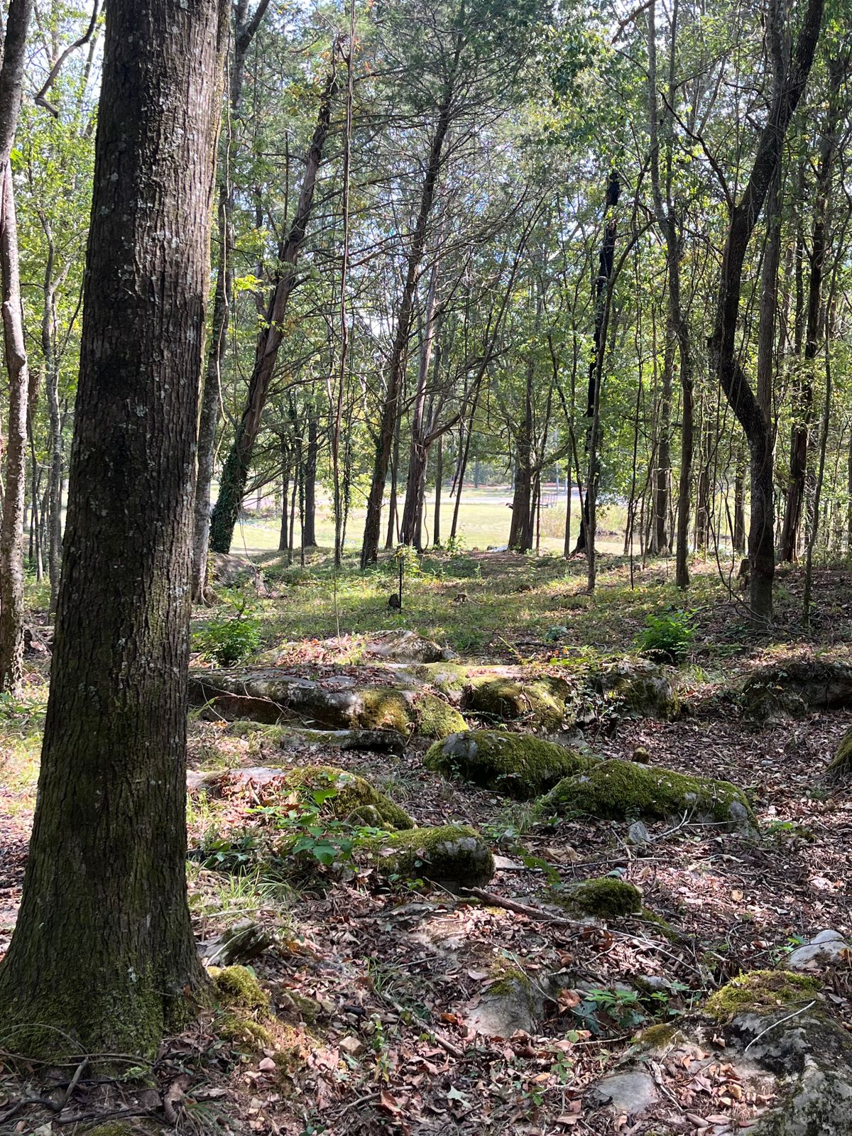 Hole 9 from the fairway