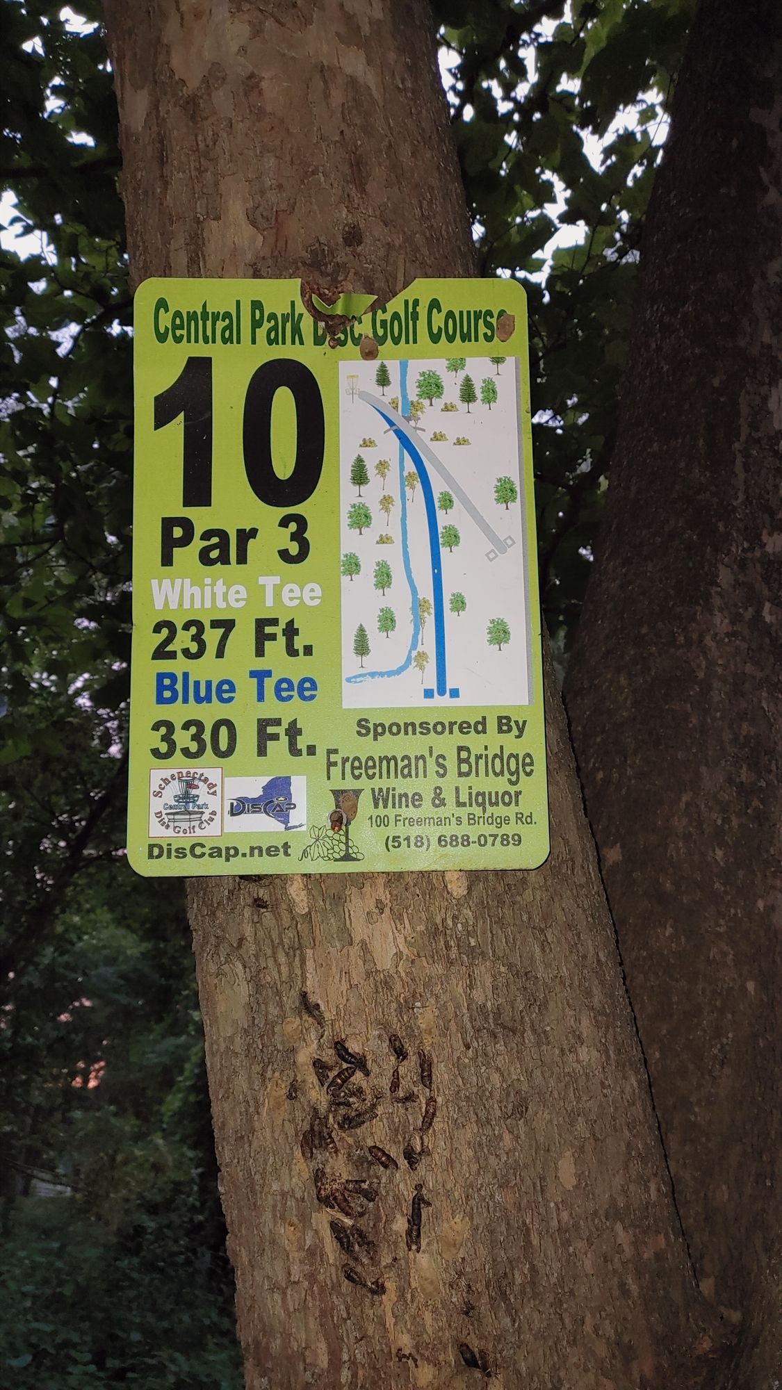 Sign for hole 10