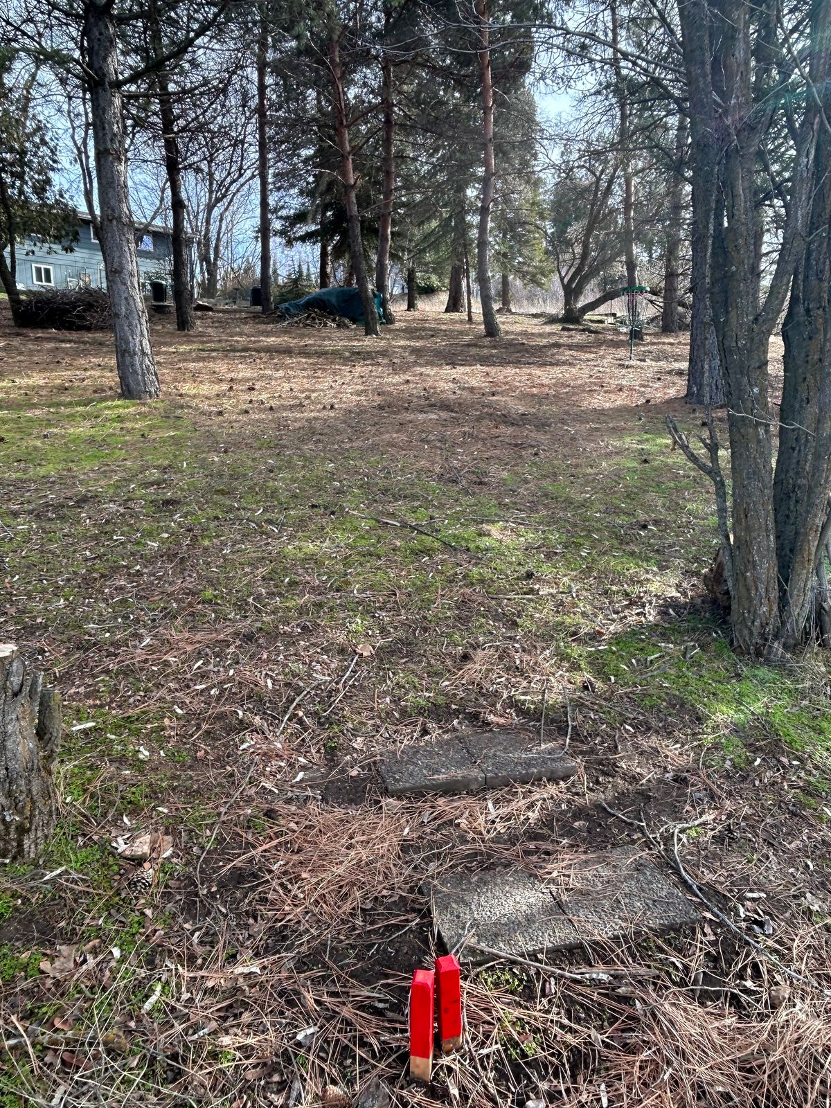 Hole #3. Uphill. 120’.