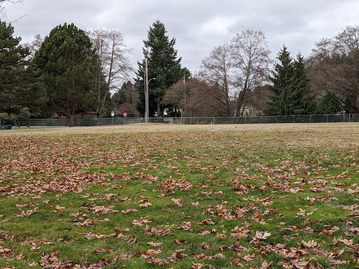 From tee #5. The basket is in the far corner.