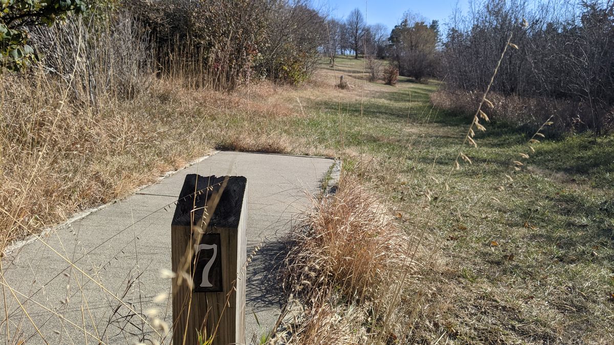 Tee #7. (two tee pads)