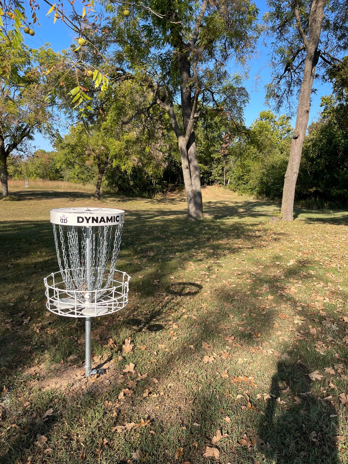 Hole 12’s basket