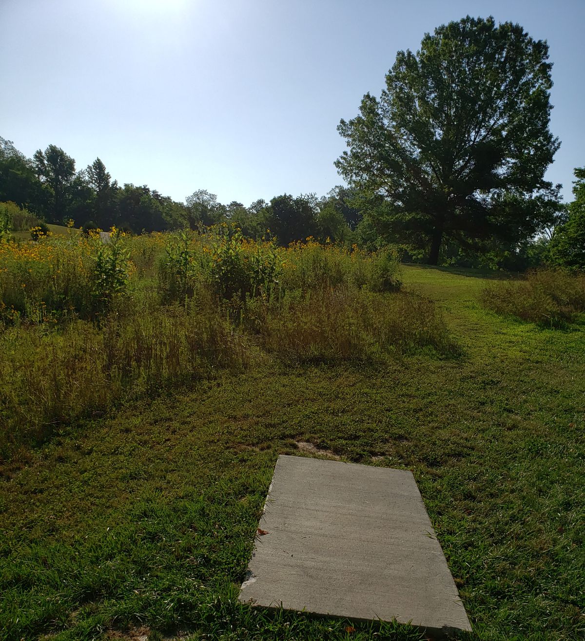 #2 Short Tee shot view.