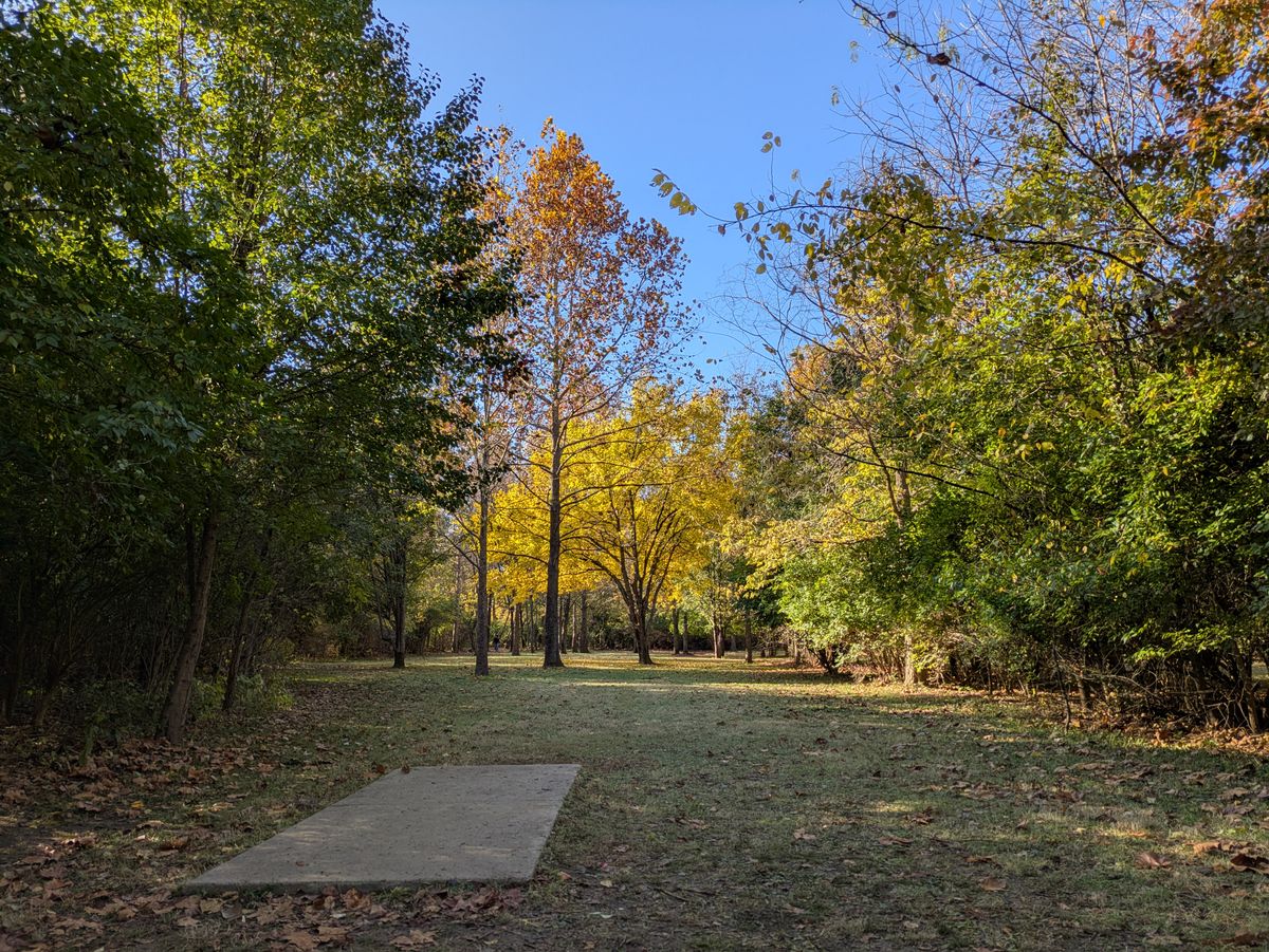 Hole 2 short.  Golden fall colors.