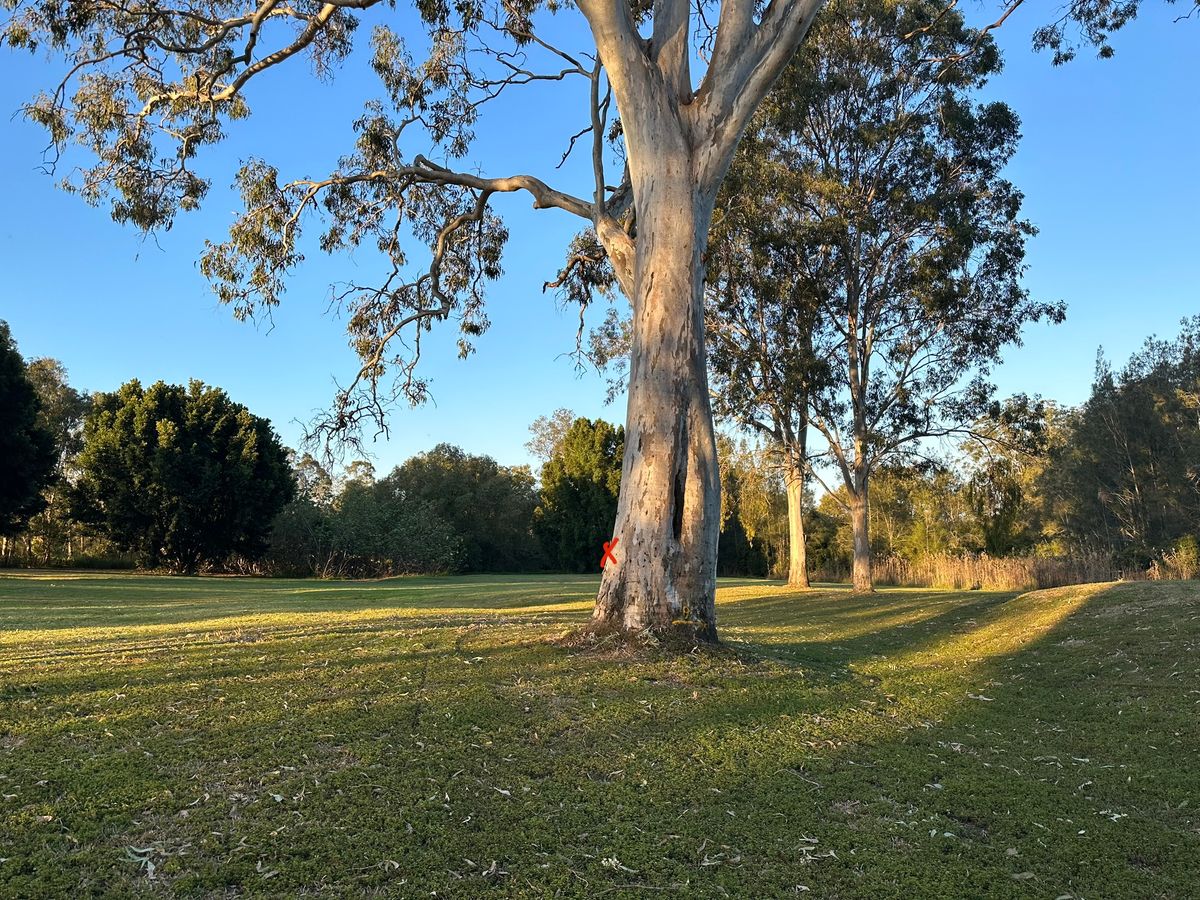 View from tee 21