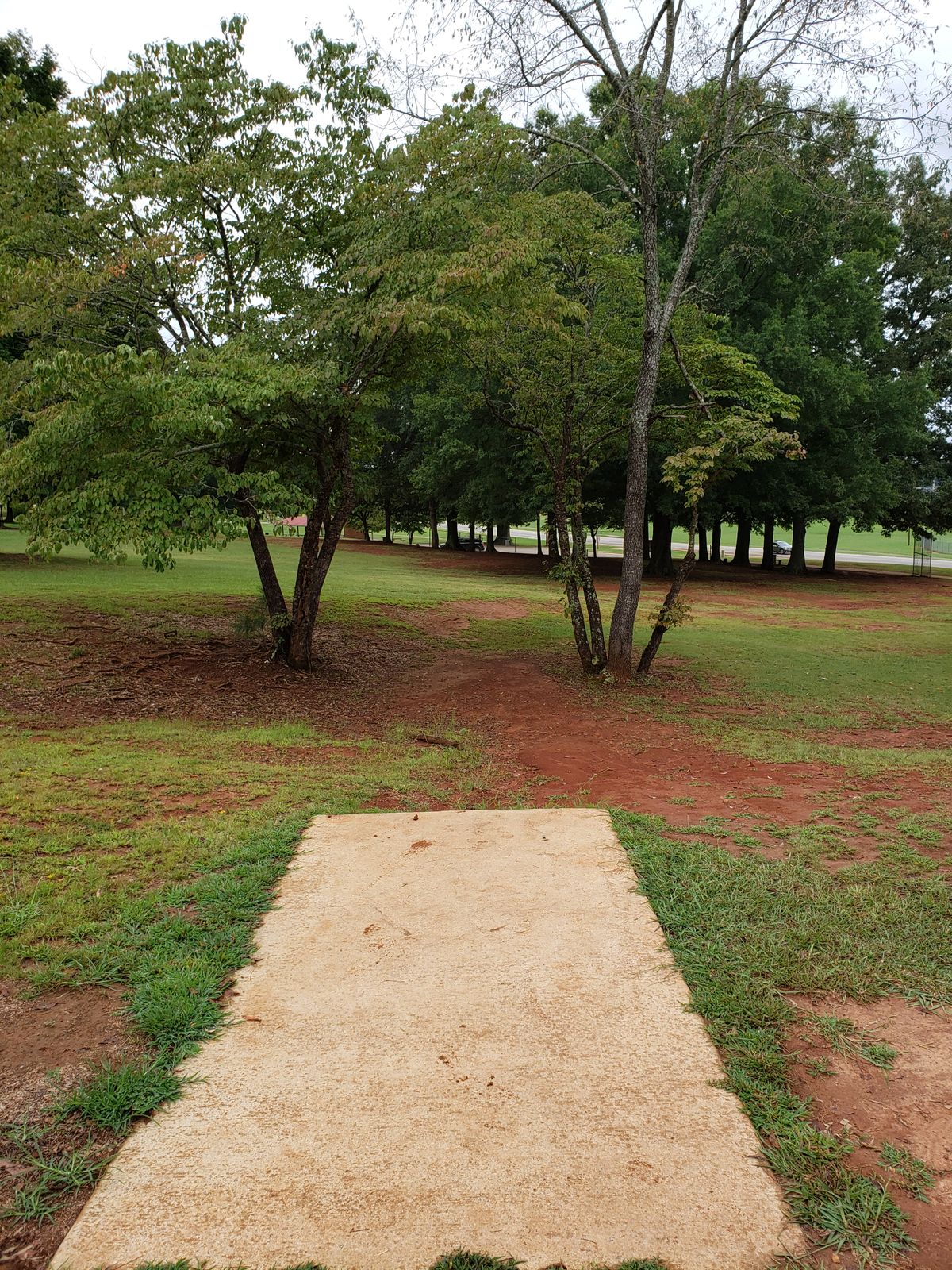 #6 Tee-Pad and Fairway