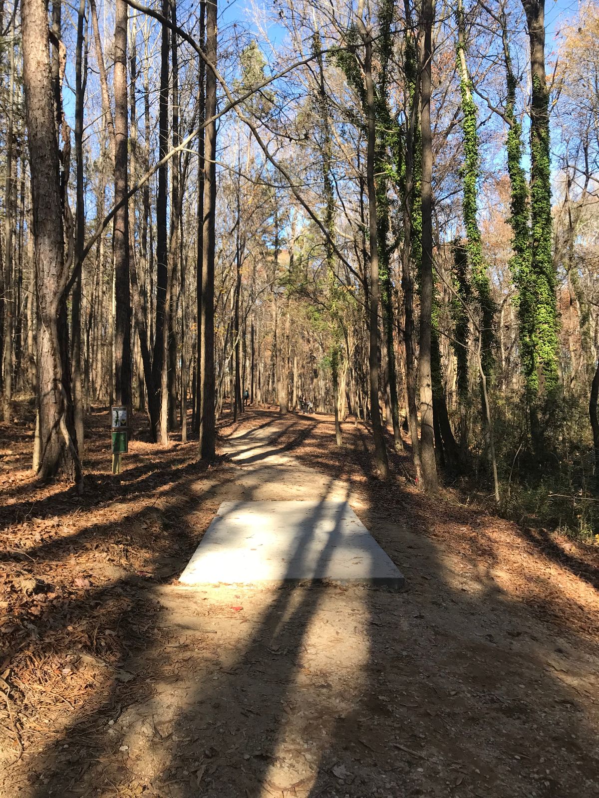 Hole 16 tee