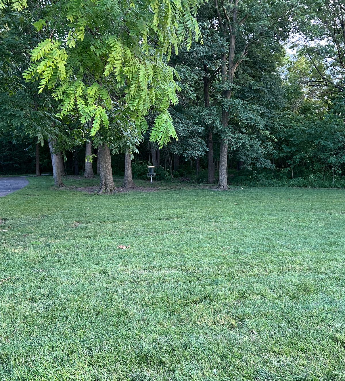 Practice Hole